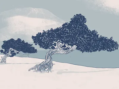 Aruba - Two Tone Illustrations apple pencil aruba beach design digital art digital painting drawing grit illustration painting procreate app texture tropical true grit true grit texture supply wedding