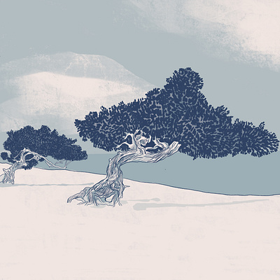 Aruba - Two Tone Illustrations apple pencil aruba beach design digital art digital painting drawing grit illustration painting procreate app texture tropical true grit true grit texture supply wedding