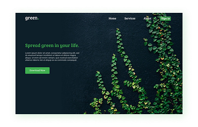 Green UI Design branding dailydesign design figma graphic design ui userinterface ux