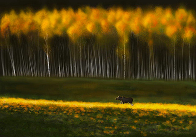Sunny trail autumn design elk forest glade graphic design grass greens illustration nature picture ray ray of sunshine sun trail