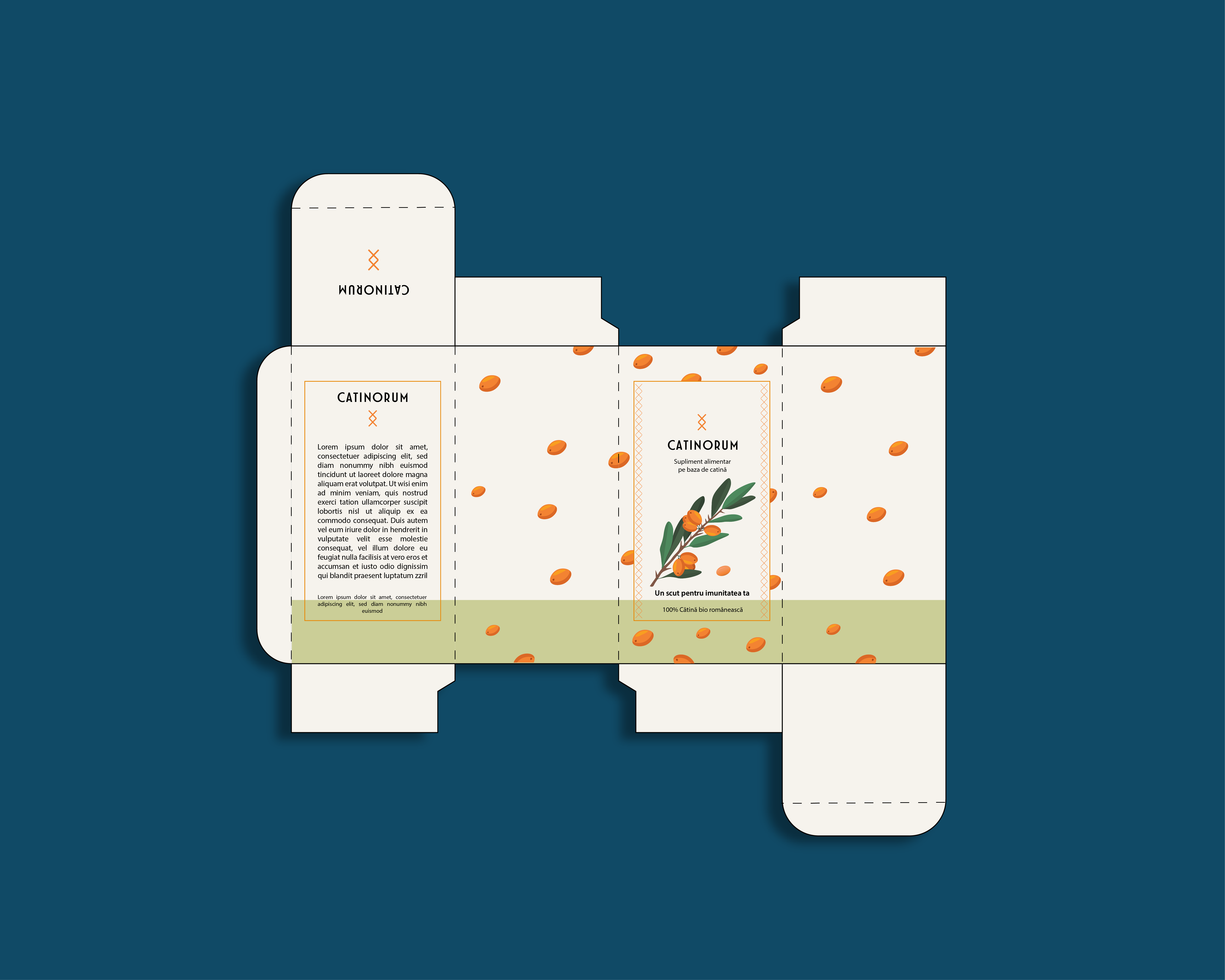 Box Packaging Design by Laslovici Andreea on Dribbble