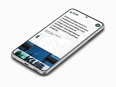 KUB Management. First screen. Mobile. corporate design management mobile mockup ui ux