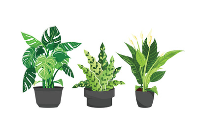 Illustration Plants illustration plant illustration vector design