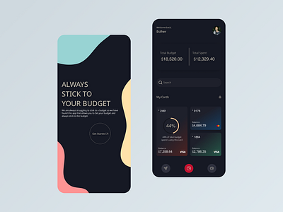 Budgeting App Concept app best dribble shot clean colorful dribble best shot finanance planning finance finance tech fintech fund management minimal money money management pay payment planner ui ui design ux