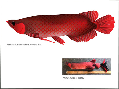 Realistic Illustration of Arowana Fish artwork digital artist digital illustration drawing graphic design illustrated illustration illustrator pets pixeddesignmiami print production production toy vector