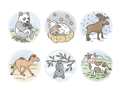 Cute animals Illustrations for the children English learning app animals bat camel children course cow cute education elearning illustration kid kids learning lineart panda pets school sheep wildlife zoo