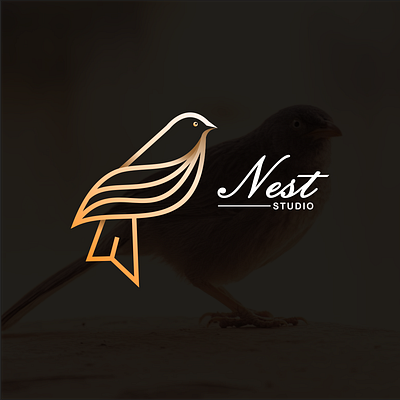 Bird line art logo 3d abstract animation bird line art logo branding creative design graphic graphicdesign icondesign illustration logo logodesign modern typography ui vector vectorart vectorindonesia vexel