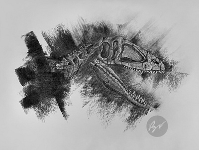 Dinosaur Fossil in Charcoal: Carcharodontosaurus animal art arte charcoal desenho dibujo drawing