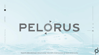 Pelorus Pitch Deck branding graphic design logo typography