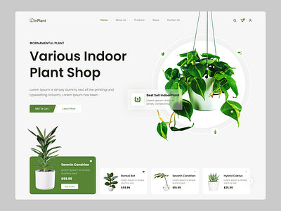 Interior Plant Shop Landing Page🌱🌱 app design app ui creative design ecommerce indoor plant inspiration interior plant online plant plants popular shop shopify shopping store ui ux