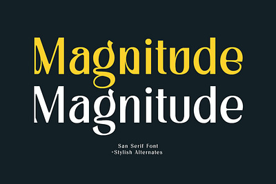 Magnitude Font advertising branding classy display display font elegant fashion fonts lettering logo luxury magazine minimalist modern sans serif serif stylish typeface typography unique