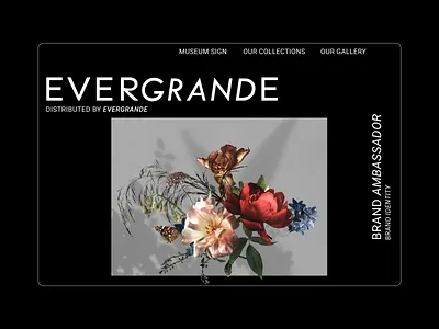 EVERGRANDE | D II Minor K. 1-3/Landing Page branding design graphic design illustration landing pages minimalism motion graphics web design website