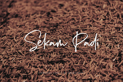 Sekam Padi - Signature Font by Awanstudioz awanstudioz brush calligraphy font handlettering handwritten script font script lettering typography