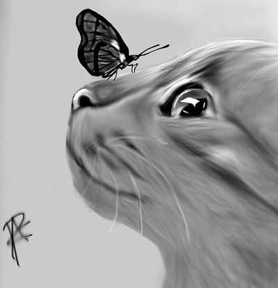 Digital Cat Drawing butterfly cat digital digitaldrawing drawing