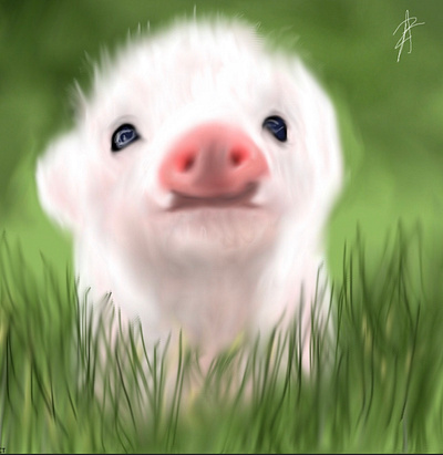 Digital Piglet Drawing app art cute drawing pig piglet