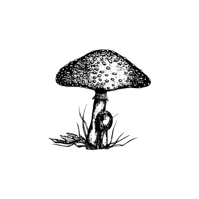 Mushroom autumn autumnbackground branding design graphics illustration logo vector