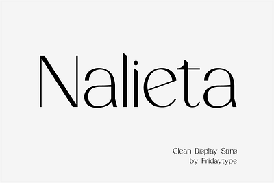 Nalieta - Clean Display Sans brand branding brush create creativity design drawing font illustration logo ui