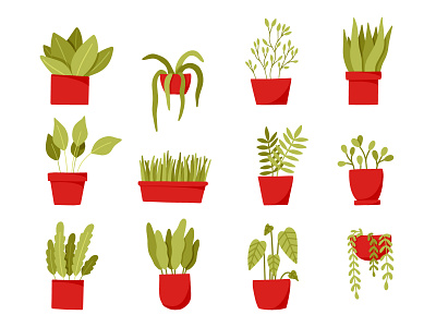 Potted plants animation art branding children illustration design flat graphic design handdrawn icons illustration illustrator logo nature ui