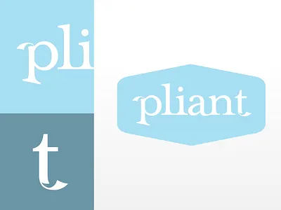 Flexible hardware device name and identity branding device logo naming