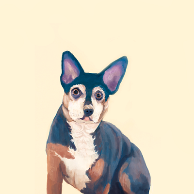 Daisy animal illustration design designdogs dog illustration dogs illustration illustrator