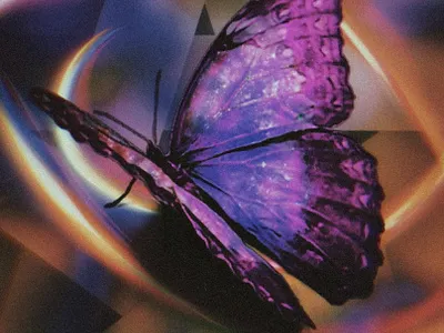 my butterfly butterfly