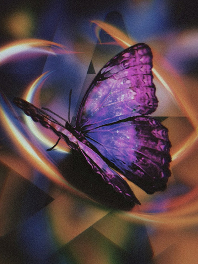 my butterfly butterfly