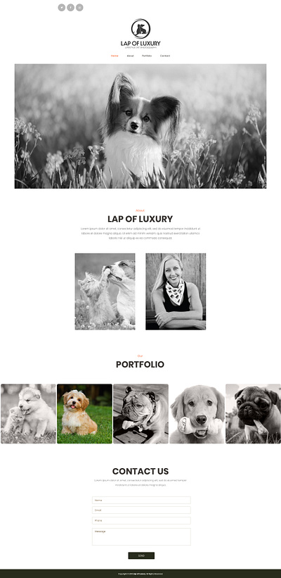 Lap of Luxury Lifestyle Pet Photography app branding design icon illustration logo typography ui ux vector