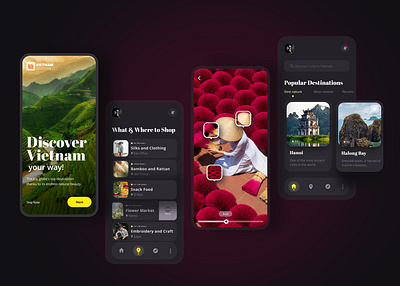 Discover Vietnam your way! app design mobile mobile design mock up travel travel app ui ux ux ui design vietnam