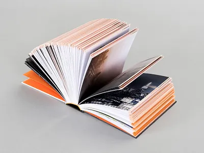 Hyperirrealism book branding cover design design editorial design graphic design illustration typography