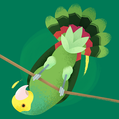 Double Yellow Headed Amazon Parrot Illustration amazon animals art bird design digital digital art digital painting flat geometric grain graphic design illustration painting parrot pet bird pets procreate texture yellow