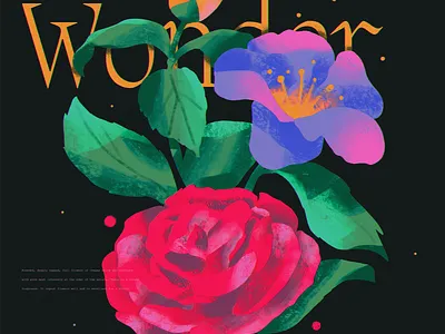 Pink Wonder abstract anime design illustration ipad pro poster texture