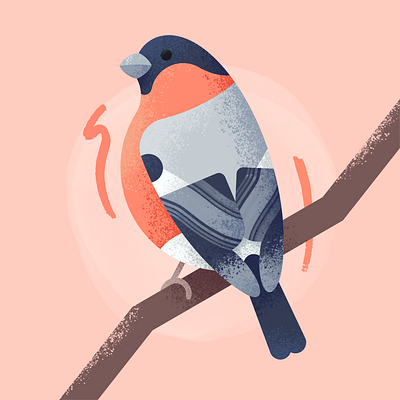Eurasian Bullfinch Illustration animals art bird bullfinch design digital digital art digital painting finch flat garden geometric grain graphic design illustration painting pet bird pets procreate texture