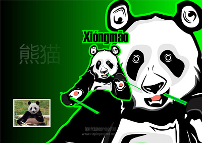 Panda Icon green animation banner branding design graphic design illustration logo promotion ui vector