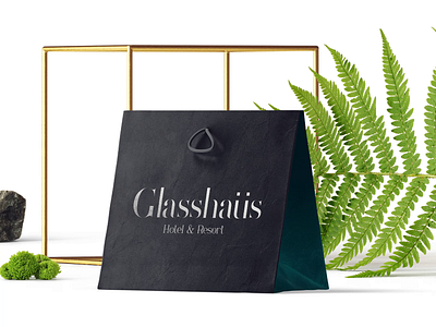 Glasshaus - Branding branding design logo typography