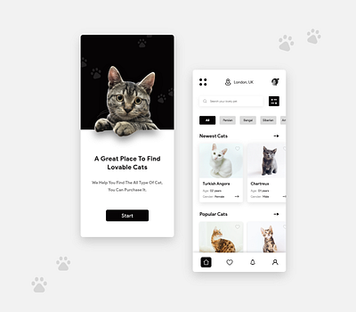 Cat Mobile App UI/UX Design adoption black theme cat cats dailyui design mobile app pets typography ui ui design ux