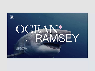 Ocean Ramsey editorial interaction interface ocean ramsey sharks typography ui webdesign