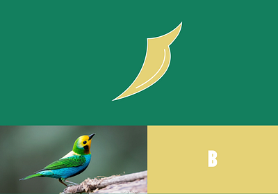 bird + B graphic design logo logo design logo designing minimalist modern logo