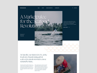 Manolin UI Concept aquaculture blue brand branding clean editorial gold layout modern navy ocean seafood typography ui ux uxui web web design website website design