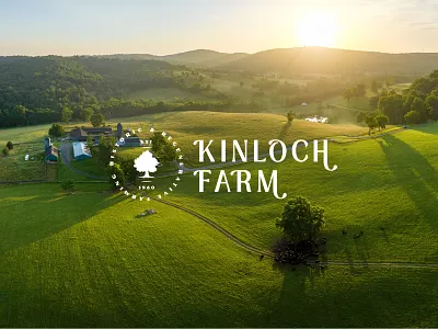 Kinloch Farm Logo agriculture beef brand identity brand mockup branding farm food graphic design logo outdoor typography visual identity