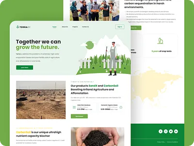 TerraXy Project design illustration ui ux