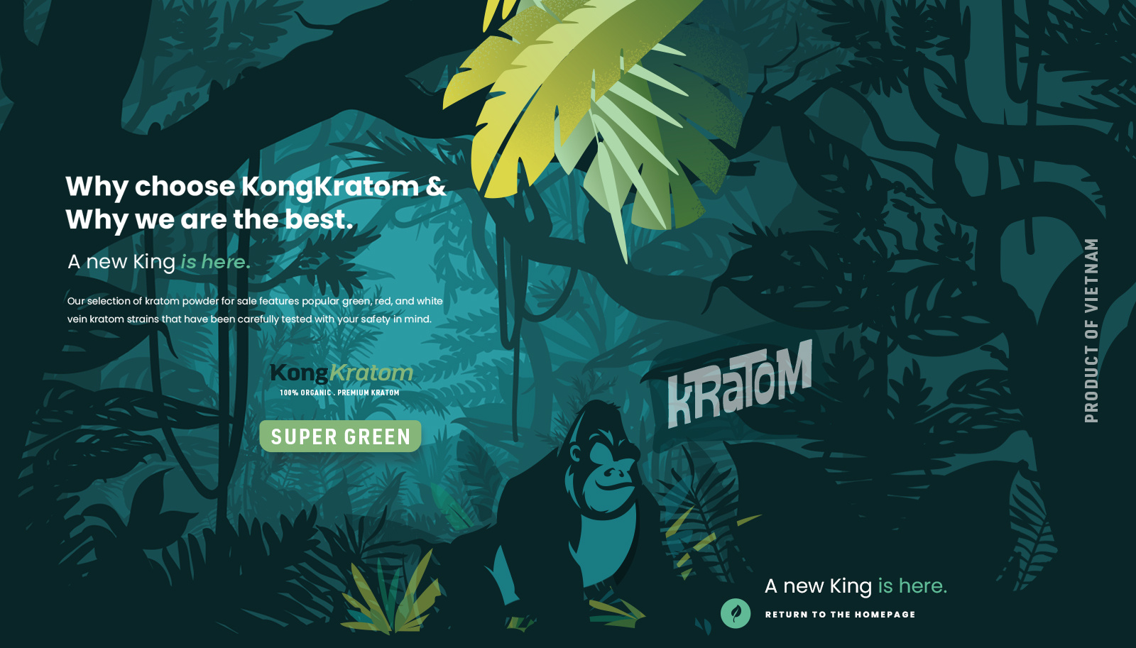 Example of Brand Mascot Logo Identity Design