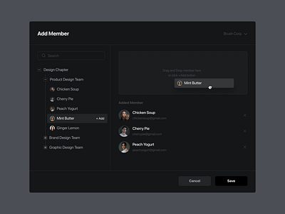 Add Memeber add member component dark theme dialog drag drop drag and drop option pop up