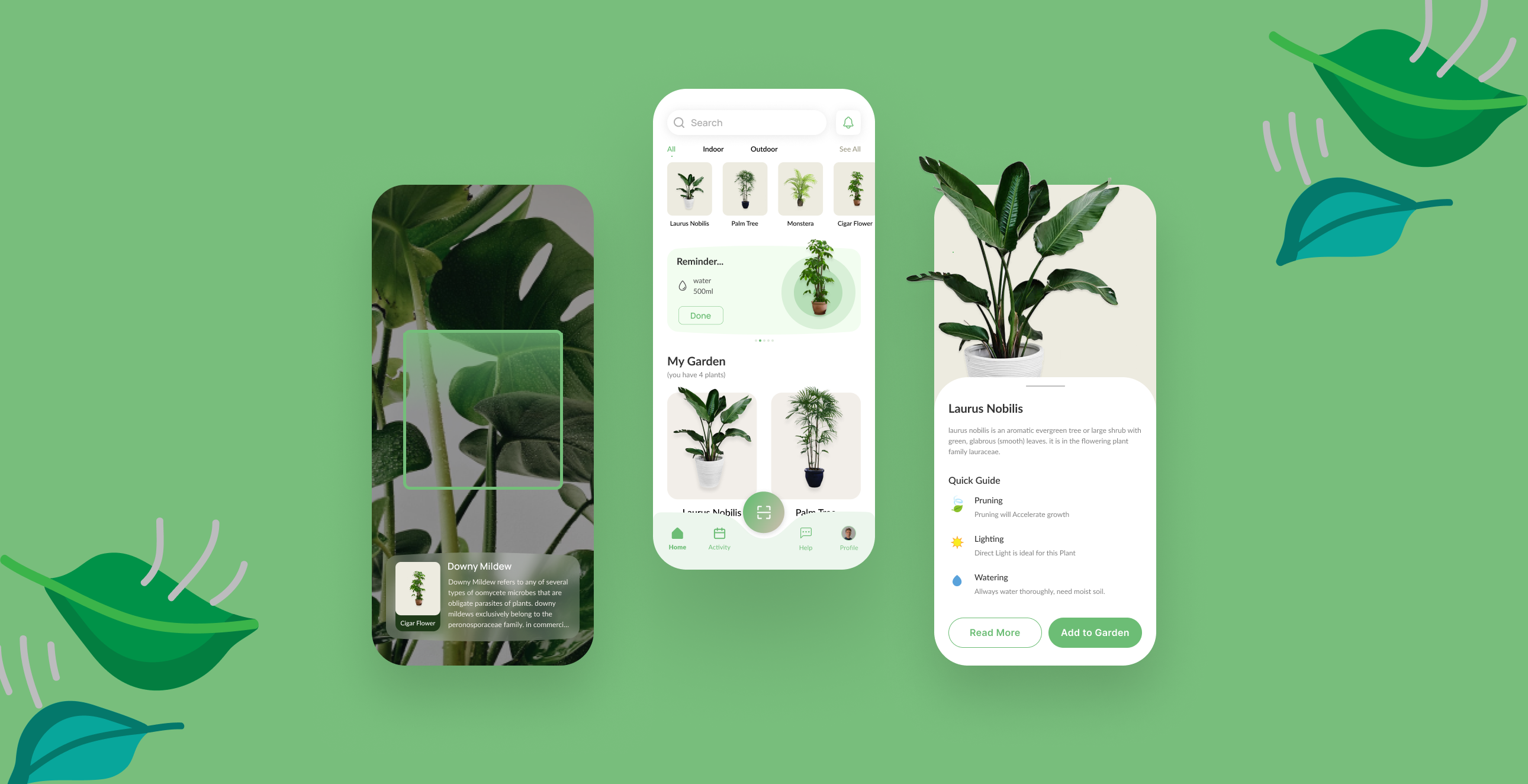 Plant Care App By Step1 Design On Dribbble   Original 01cd1fb9e0a5efeaf6a0375974d00a4e 