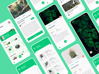 Plant App UI Screen 3d animation apps branding business cactus design graphic design green illustration interaction logo plant plant app trend ui usability user friendly ux visual design