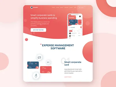 Management software web/app design accounting application budgets bussiness expenses managment payments ui website