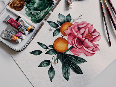 State Flower Project: Indiana Peony + Florida Orange Blossom botanical botany floral design floral pattern illustration packaging design paint painting pattern design watercolor watercolor illustration