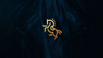 Pedro Margalho - Equine Veterinary brand branding horse identity logo logo design veterinary visual