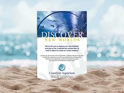 Logo & Flyer Design adobe art branding clean creative design flat flyer icon identity indesign logo minimal photoshop simple typography