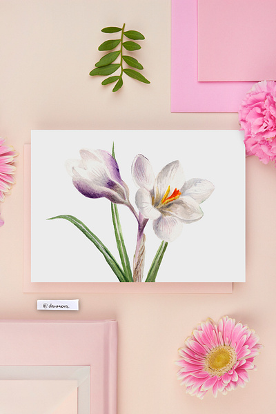 floral illustration