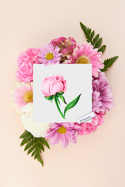 floral illustration brand brand design branding branding agency branding and identity coffee cup design illustration